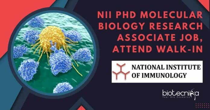 NII PhD Molecular Biology