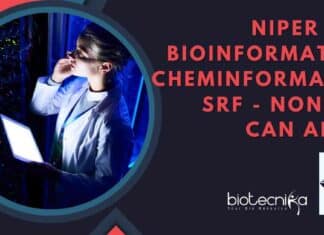 NIPER MSc Bioinformatics Job