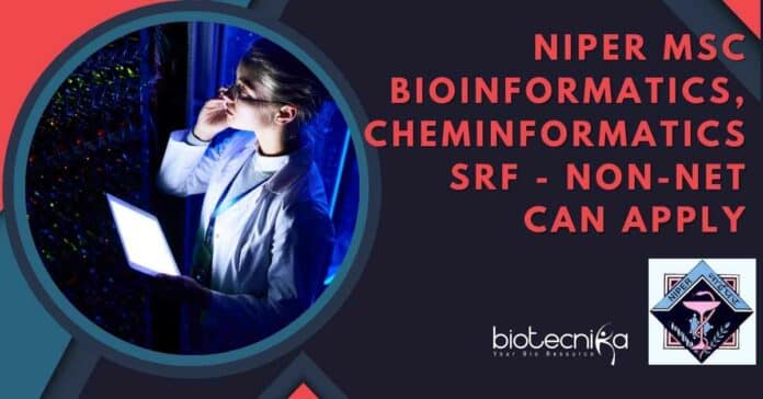 NIPER MSc Bioinformatics Job