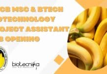 NRCB MSc & BTech Biotechnology Project Assistant Job Opening NRCB MSc & BTech Biotechnology