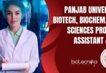 Panjab University Biotech, Biochem, Life Sciences Project Assistant Jobs Panjab University Biotech, Biochem