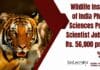 Wildlife Institute of India PhD Life Sciences Project Scientist Job With Rs. 56,000 pm Pay Project Scientist Life Sciences
