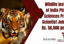 Wildlife Institute of India PhD Life Sciences Project Scientist Job With Rs. 56,000 pm Pay Project Scientist Life Sciences