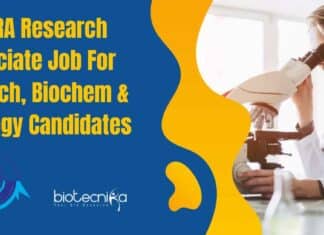 SASTRA Research Associate Job