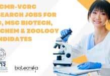 5+ ICMR-VCRC Research Jobs For BSc, MSc Biotech, Biochem & Zoology Candidates VCRC Research Jobs 2022