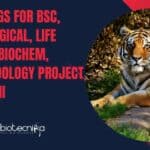 40 Openings For BSc, MSc Biological, Life Sciences, Biochem, Botany, Zoology Project Jobs at WII WII Project Openings Latest