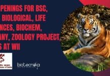 40 Openings For BSc, MSc Biological, Life Sciences, Biochem, Botany, Zoology Project Jobs at WII WII Project Openings Latest