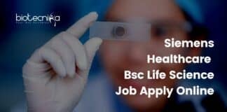 Bsc Life science jobs