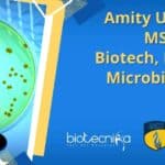 Amity University MSc, MTech Biotech, Biochem, Microbiology JRF Job Amity University MTech Job