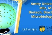 Amity University MSc, MTech Biotech, Biochem, Microbiology JRF Job Amity University MTech Job