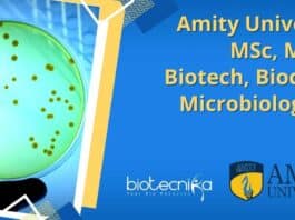 Amity University MTech Job
