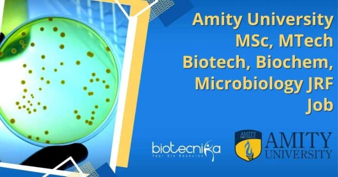 Amity University MTech Job