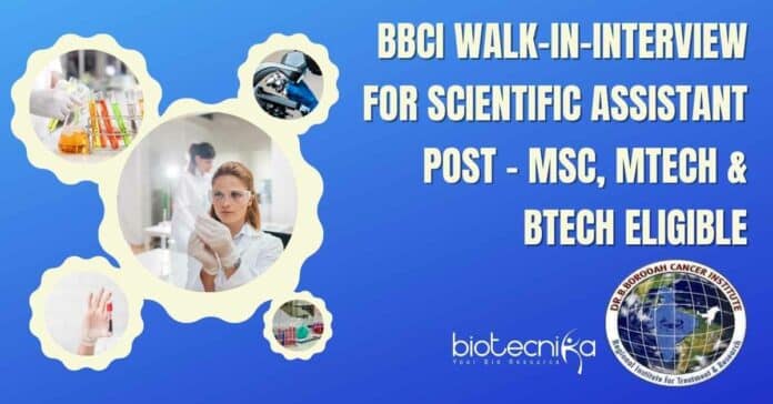 BBCI Scientific Assistant Post