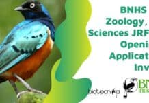 BNHS MSc Zoology, Life Sciences JRF Job Openings, Applications Invited BNHS MSc Zoology JRF