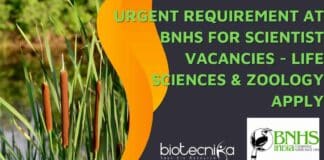 BNHS PhD Scientist Jobs