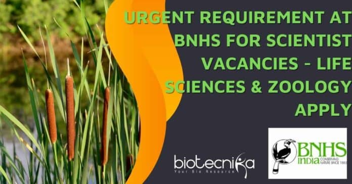 BNHS PhD Scientist Jobs