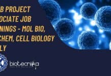 CCMB Project Associate Job Openings