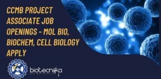 CCMB Project Associate Job Openings