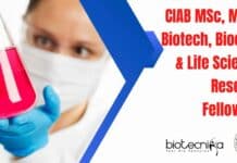 CIAB Fellowships For MSc