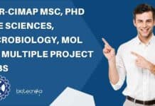 CSIR-CIMAP MSc, PhD Life Sciences, Microbiology, Mol Bio Multiple Project Jobs CIMAP Project Job Openings