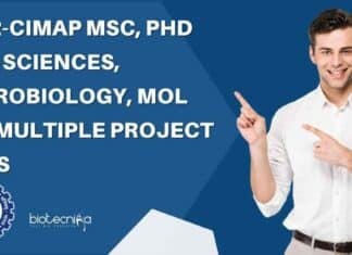 CIMAP Project Job Openings