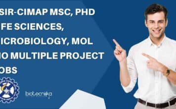 CIMAP Project Job Openings