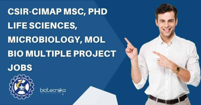 CIMAP Project Job Openings