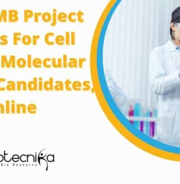 CSIR-CCMB Project Openings For Cell Biology, Molecular Biology Candidates, Apply Online CSIR-CCMB Project Openings For Cell Biology