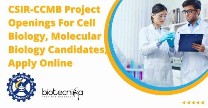 CSIR-CCMB Project Openings For Cell Biology