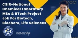 CSIR-NCL Project Vacancy BTech