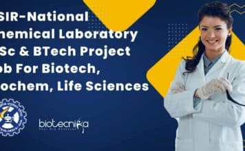 CSIR-NCL Project Vacancy BTech