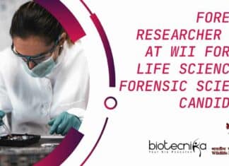 Forensic Researcher Jobs at WII For MSc Life Sciences & Forensic Sciences Candidates Forensic Researcher Jobs at WII For MSc Life & Forensic Sciences