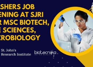 Freshers Job Opening at SJRI