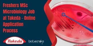 Freshers MSc Microbiology Job