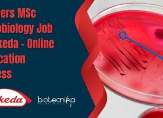 Freshers MSc Microbiology Job