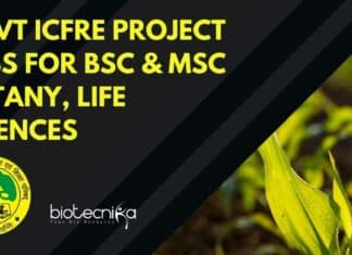 Govt ICFRE Project Jobs
