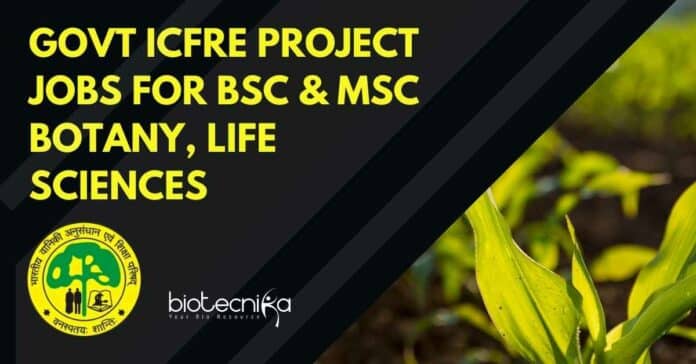 Govt ICFRE Project Jobs