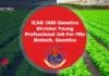 ICAR-IARI Genetics Division Young Professional Job For MSc Biotech, Genetics IARI YP Job Opening
