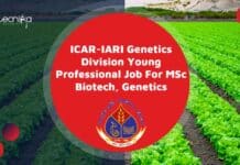 ICAR-IARI Genetics Division Young Professional Job For MSc Biotech, Genetics IARI YP Job Opening