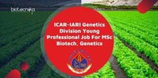 IARI YP Job Opening