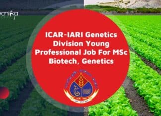 IARI YP Job Opening