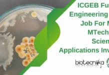 ICGEB Fungal Engineering JRF Job For MSc, MTech Life Sciences, Applications Invited ICGEB JRF For MTech