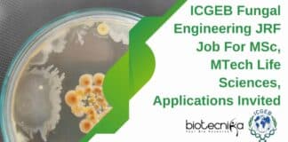 ICGEB JRF For MTech