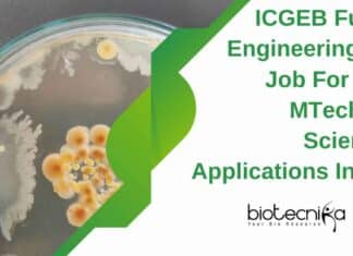 ICGEB JRF For MTech