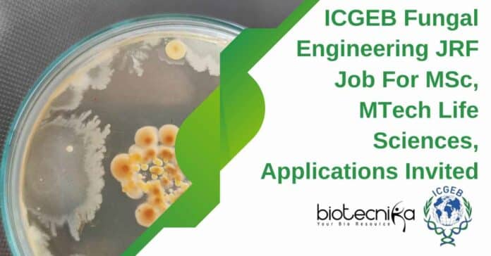 ICGEB JRF For MTech