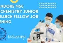 IIT Indore MSc Biochemistry Junior Research Fellow Job Opening IIT Indore MSc Biochemistry
