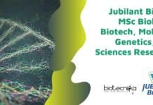 Jubilant Biosys MSc Biology, Biotech, Mol Bio, Genetics, Life Sciences Research Job Jubilant Biosys MSc Biology