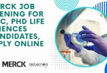 Merck Job Opening For MSc, PhD Life Sciences Candidates, Apply Online Merck Job Opening