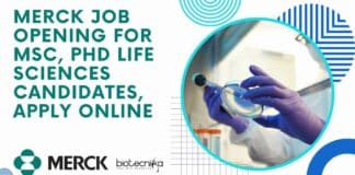Merck Job Opening