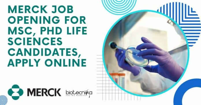 Merck Job Opening